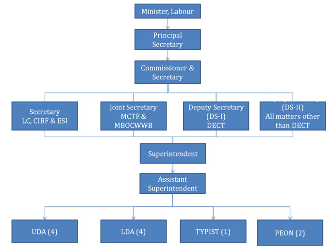 Organisational Chart